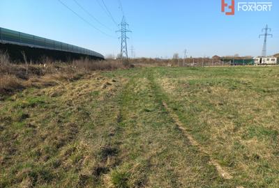Teren intravilan – oportunitate investitie – zona Centura Timisoarei - 3
