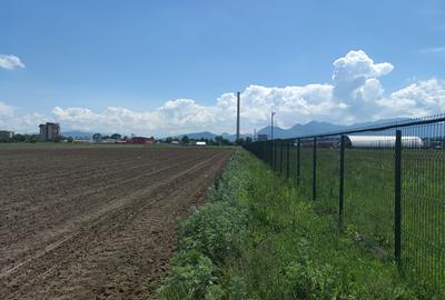 Teren intravilan cu potențial excelent în Triaj, Narciselor, pentru dezvoltatori - 8