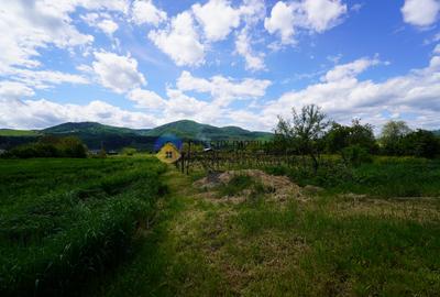 Teren 9000 mp intravilan Piatra Neamt , ideal investitie - 10