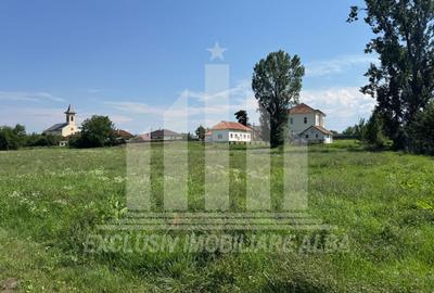 Teren intravilan | De vanzare | 5694 mp | 16.5 ml deschidere | Micesti - 2