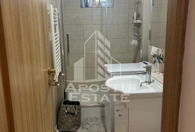 Apartament cu 2 camere, de inchiriat, Calea Sagului, Centrala proprie - 7