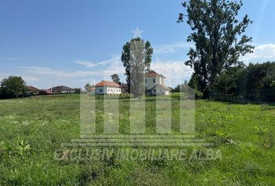 Teren intravilan | De vanzare | 5694 mp | 16.5 ml deschidere | Micesti - 4