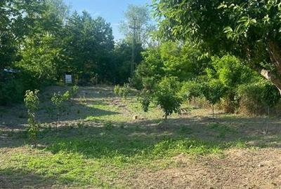 Oportunitate de investitie || teren de vanzare || 933 mp Prahova || - 2