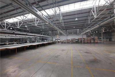 Spatiu Industrial - 6500 mp - Productie - Depozitare - 3