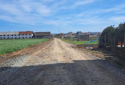 Teren Steaua de Mare 2 - 2