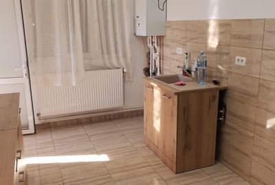 Eforie nord casa de vacanta - 2
