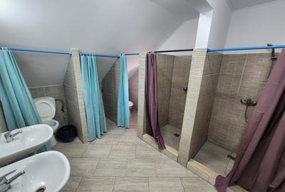 De inchiriat casa pentru muncitori in Sanandrei, la doar 5 km de Timisoara. - 12