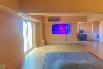 Bd. Unirii 5 camere Loft ! - 5