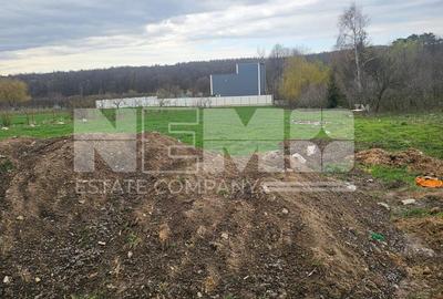 Casa Horodnic | 50 Ari | Complet Mobilată - 9