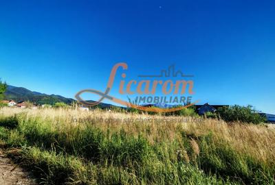 Teren Construcții intravilan de 1000 mp, în Cristian