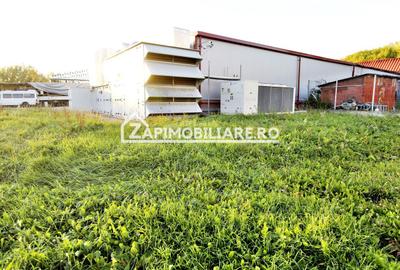 Spatiu de inchiriat Craiesti - 5