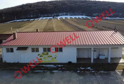 Clădire industrială de vânzare în Vâlcele! - 10