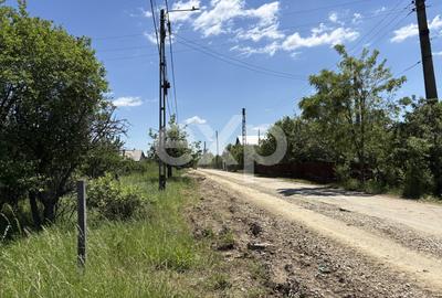 Teren 2.200 mp lângă pădure, la 11 km de Pitești – ideal pentru casă și relaxare - 6