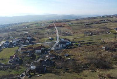 Teren 20.146 mp Dâmbu Rotund (Lomb).Extravilan.Potențial rezidențial - 14