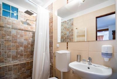 RECO Inchiriere Apartament in zona centrala - 8
