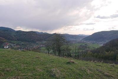 Domeniu de 7 ha in Apuseni - Criscior, Hunedoara - 8