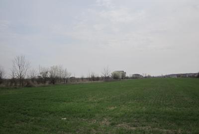 Teghes-Caminului - 2