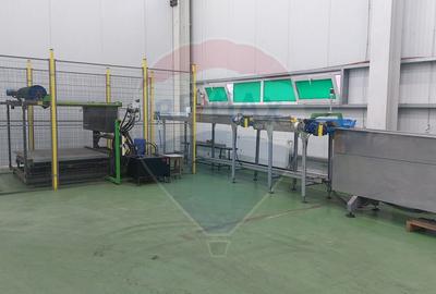 Depozit/Spațiu industrial Vaslui - 0% Comision cumparator - 37