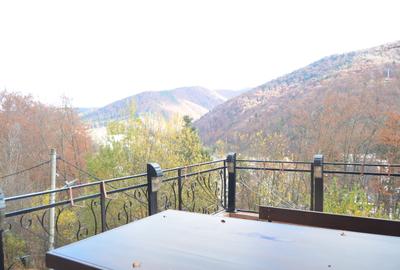 Sinaia-Central,Pensiune de vanzare-18 camere - 9