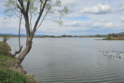 Teren Rotbav  str. Ștefan cel Mare – 3668 mp, intravilan cu deschidere la lac. - 3