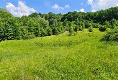 Teren 2033 mp- langa padure-  Margineni- Podis Dubas - 2