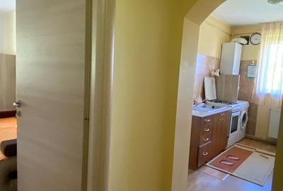 Apartament cu 2 camere decomandate , aproape de Iulius Mall - 9