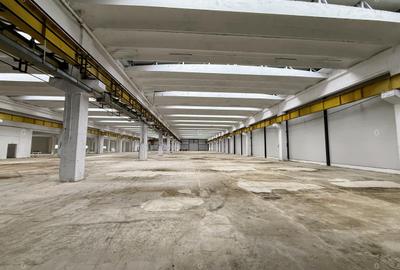 Spațiu industrial, 5493 mp în Mârșa