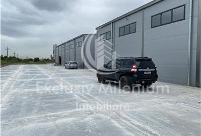 Birouri Centru Comercial Voluntari - Centura Spatiu Depozitare - Hala - 1