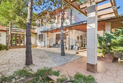 Vila spectaculoasa in Balotesti, curte 5000 mp si piscina interioara - 2