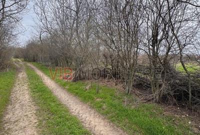 Jilava - Centura Bucuresti - teren intravilan 423 mp - 3