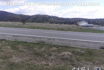Teren Intravilan(3000mp), Novaci - Ranca - 5