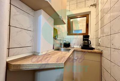 Garsoniera pentru investiție-langa Parcul Izvor - 6