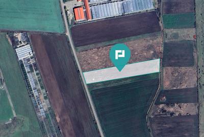 Teren arabil intravilan 10.333mp - Livada - 1