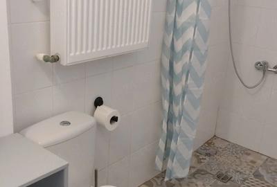 Studio dublu, 37 mp, centrala, la 9 minute de metrou, zona Grivita - 5