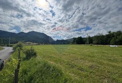 Teren de vanzare  Intravilan 19.341 mp – Cheile Râșnoavei, Parcelabil - 5
