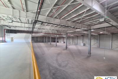 Hale moderne de inchiriat in Villar Logistics Park Bucharest West - 5