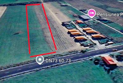 Teren intrare Bran, aproape de Penny, la Drumul European - 10