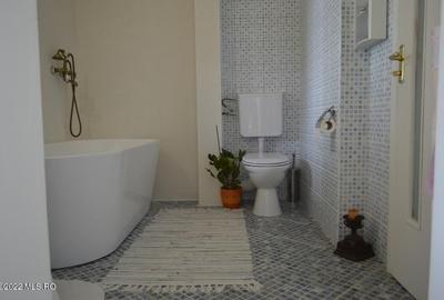 Topoloveni - Conacul Ion Mihalache, Domeniu pe 5 Hectare! - 29