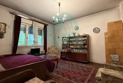 Parter vilă + demisol | Aviatorilor – Herăstrău | Grădină - 9