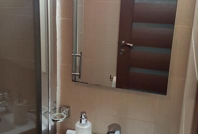 Două garsoniere B-dul N.  Balcescu, Sibiu – investiție regim hotelier la cheie - 9