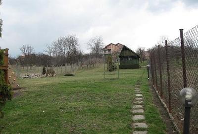 Vânzare casă + teren 3320mp, în Dambul Rotund - 4