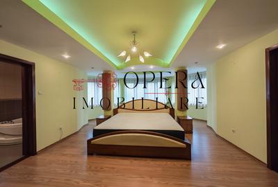 Vila individuala deosebita, de vanzare, zona Popas Pacurari - 5