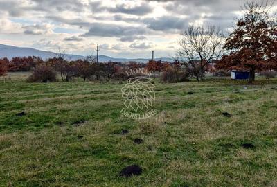 Teren Construcții intravilan de 716 mp, în Nord