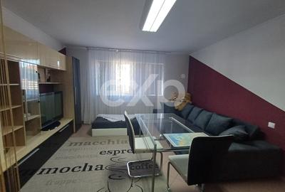 Inchiriere apartament modern in vila, cu intrare separata - 3