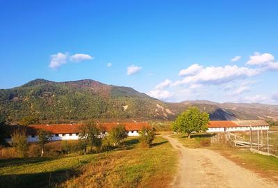 Vand teren  500 m p , 1000 mp  , 17500 mp intravilan , negociabil. - 3