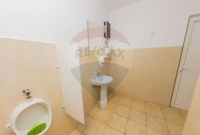 LUX! De inchiriat SPATIU COMERCIAL cu birouri, magazie și acces TIR - 26