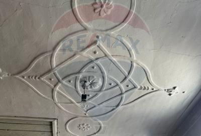 Casă / Vilă cu 3 camere parte din proiectul Muzeul Caselor Nespuse - 9