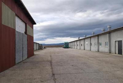 Hala industriala versatila,spatii cazare, platforma betonata,2.300 mp,Halchiu - 1
