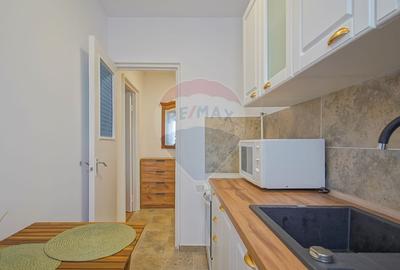 Apartament cu 2 camere de închiriat în zona Grivitei - 3