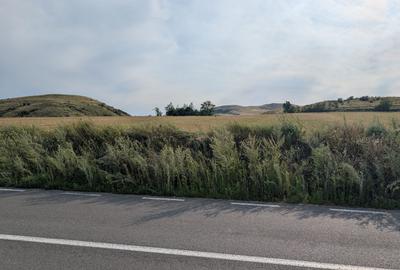 Sărata- lângă Mun. Bacău- 4000 mp- oportunitate investiție - 10